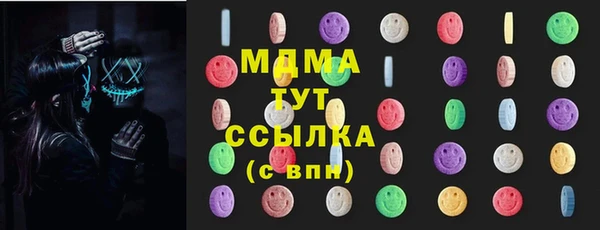 индика Богородицк